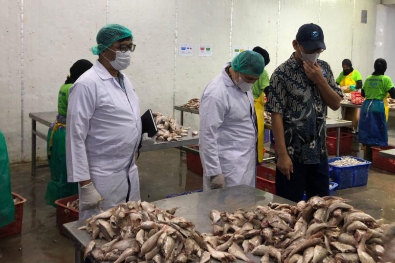 Gambaran Chaakra sebagai Jasa Konsultan Bisnis di Indonesia