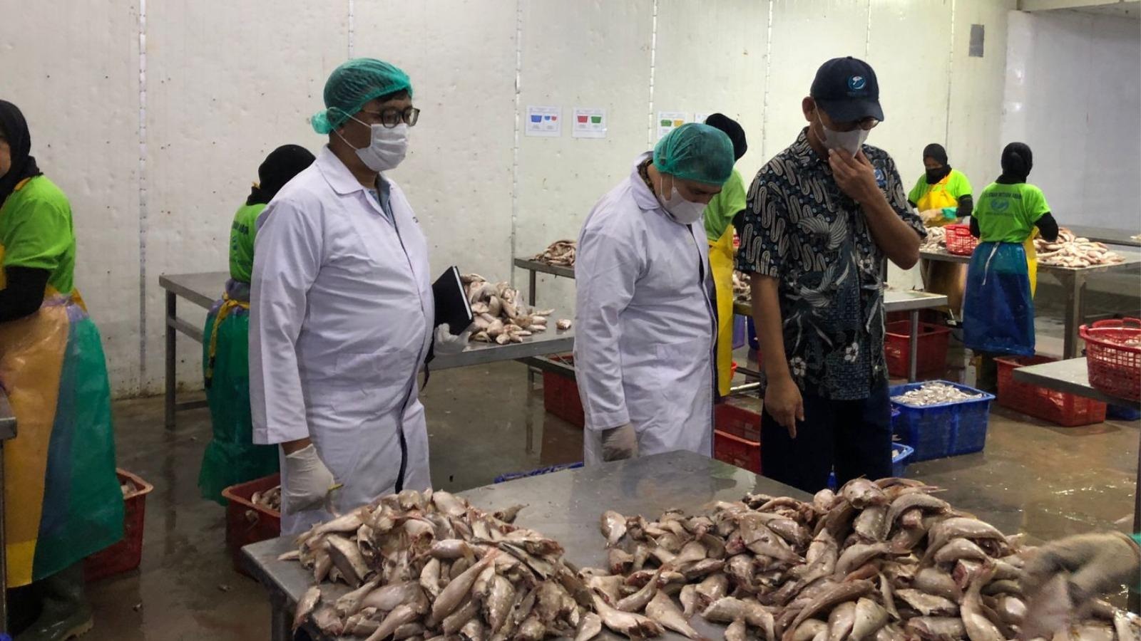 Gambaran Chaakra sebagai Jasa Konsultan Bisnis di Indonesia